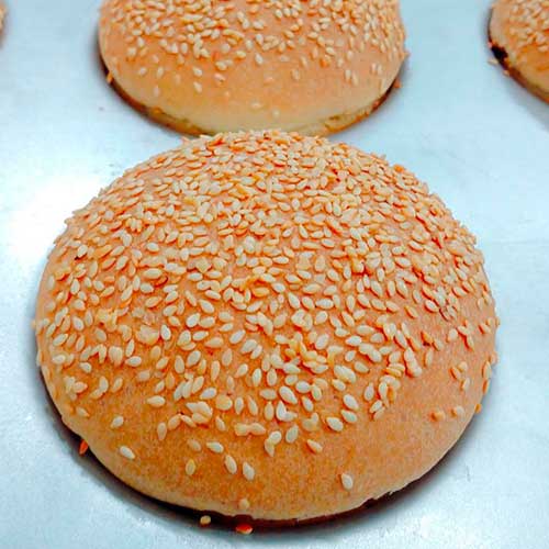 allergofit-sem-gluten-sem-lactose-vegano-paes-1-2